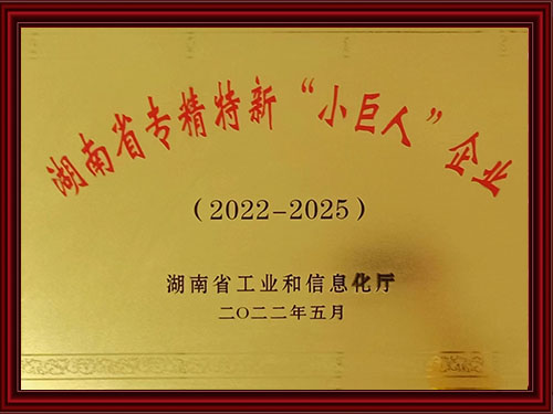 湖南省專(zhuān)精特新小巨人企業(yè)